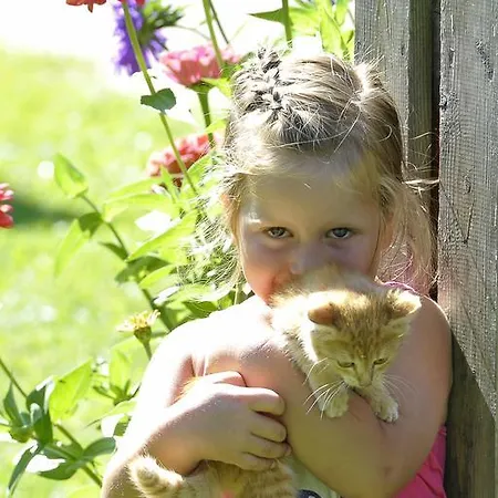 Hinkerhof アパート シュラートミンク