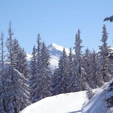 アパート Hinkerhof