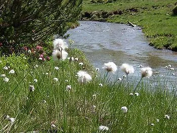 Appartement Hinkerhof *