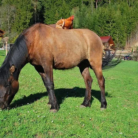 Appartement Hinkerhof Schladming