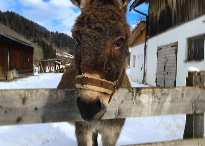 Апартаменты Hinkerhof *