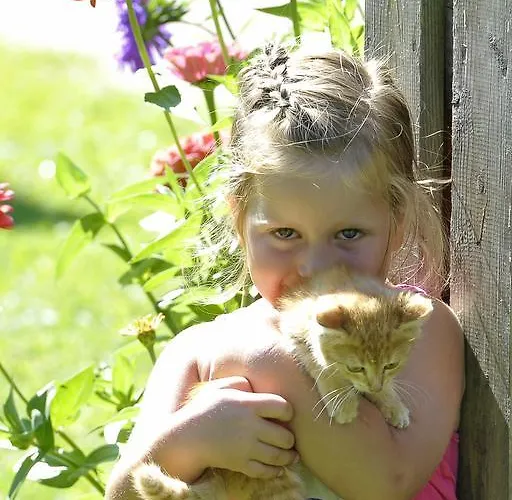 Hinkerhof Апартаменты Шладминг