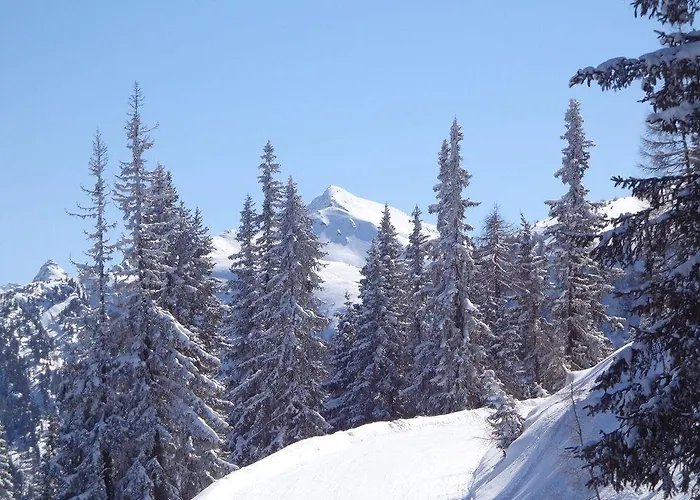 Апартаменты Hinkerhof