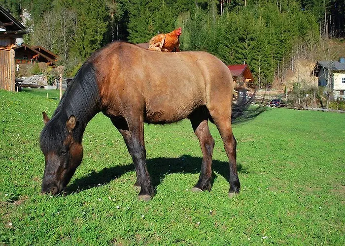 Апартаменты Hinkerhof Шладминг